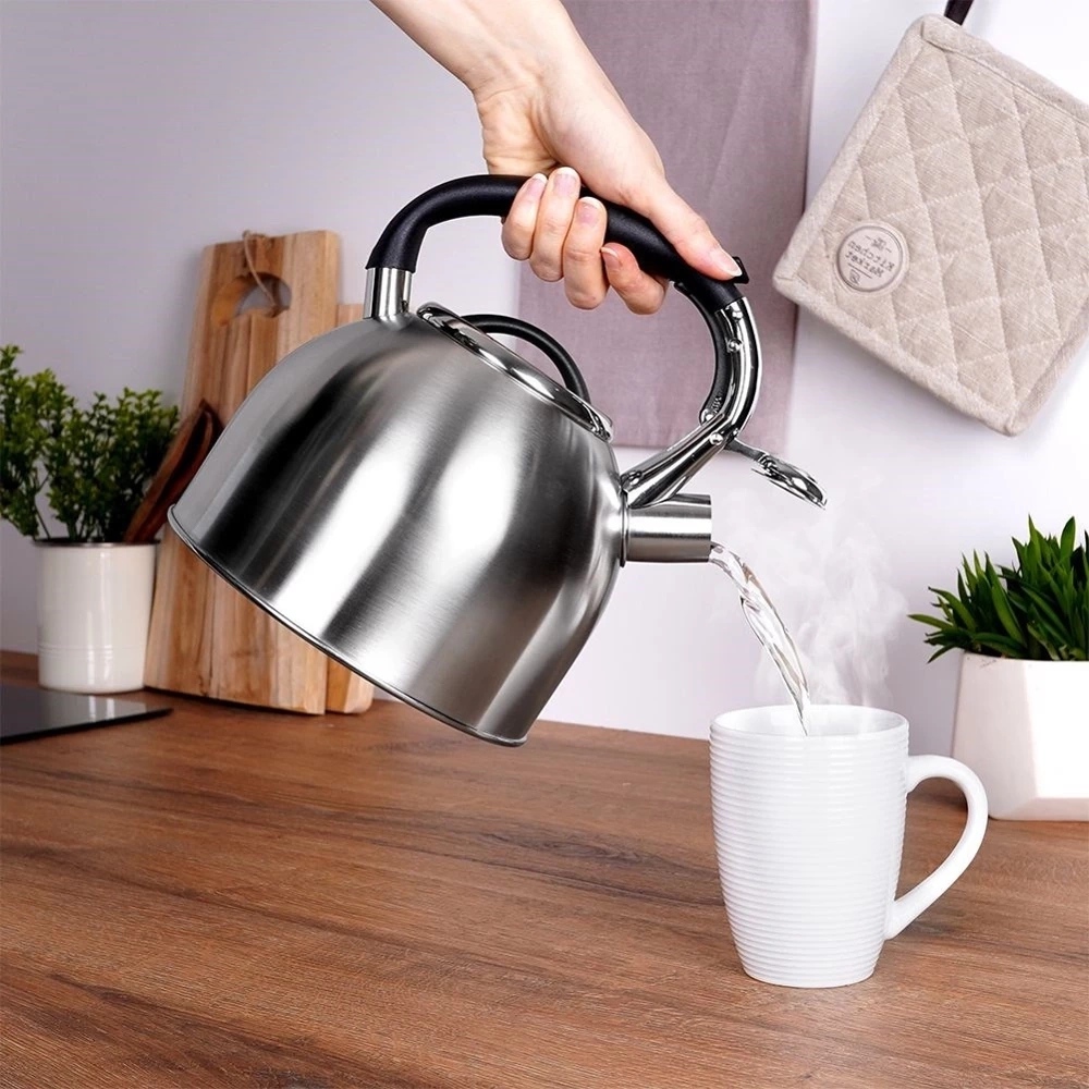 Czajnik z gwizdkiem stalowy srebrny 2 l