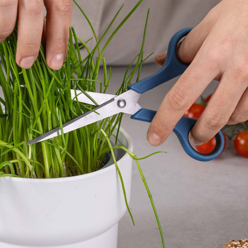 Nożyczki Essential, 17 cm, niebieskie FACKELMANN
